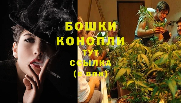 каннабис Богородицк